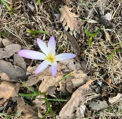 컨트리하우스 El Molino De Exclusivo Rural Tormellas